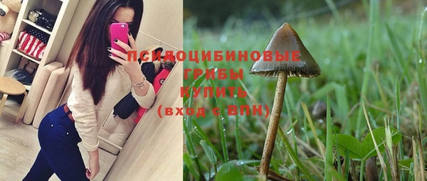 бутират Алзамай